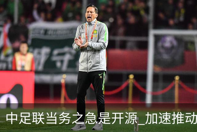 中足联当务之急是开源 加速推动中国足球职业化